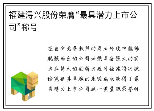 福建浔兴股份荣膺“最具潜力上市公司”称号